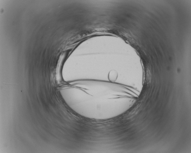 X0000067911300200605111932