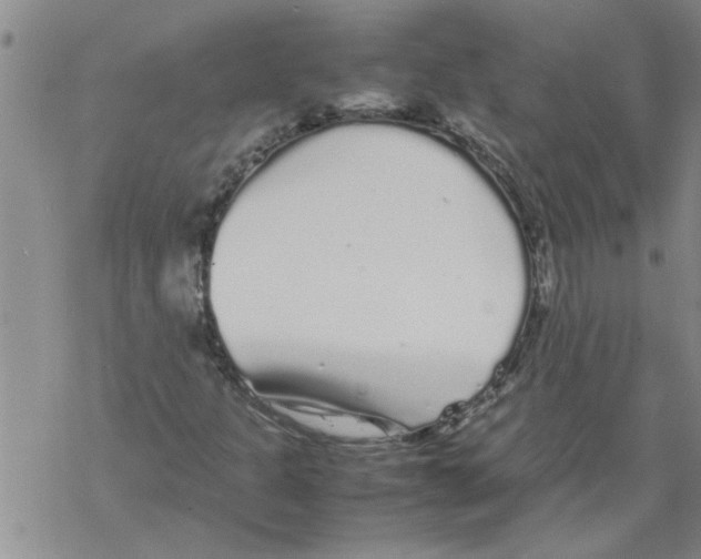 X0000067911301200605111932