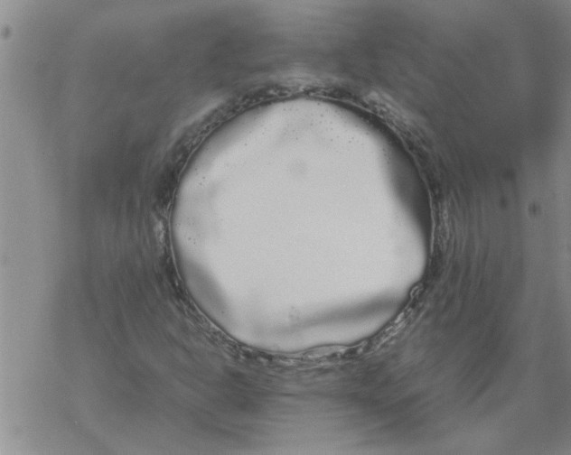 X0000067911302200605111932