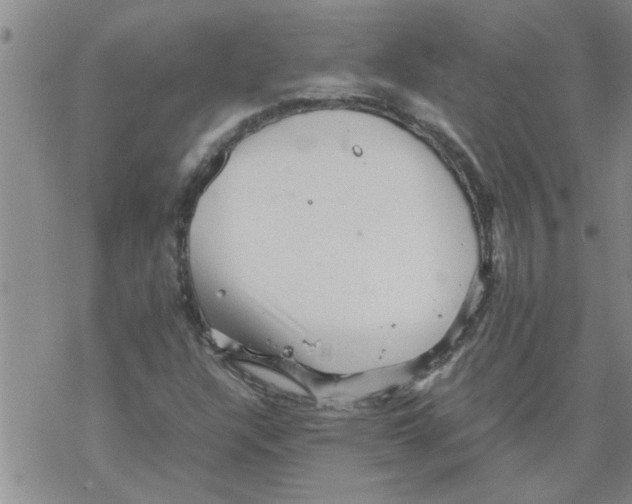 X0000067911304200605111932