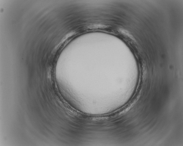 X0000067911305200605111932