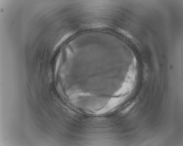 X0000067911306200605111932