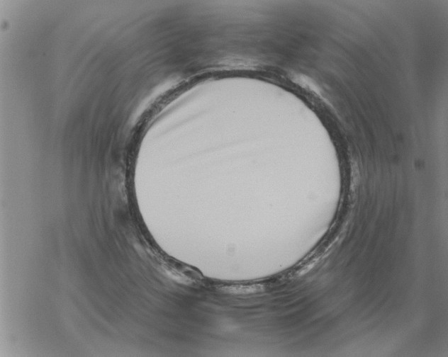 X0000067911307200605111932