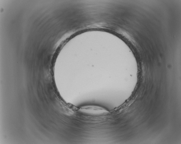 X0000067911308200605111932