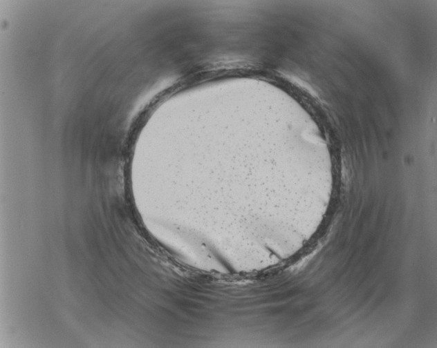 X0000067911309200605111932