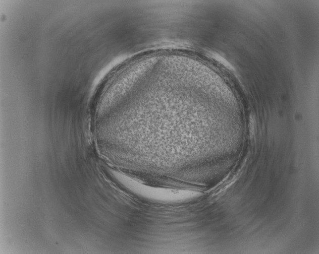 X0000067911310200605111932