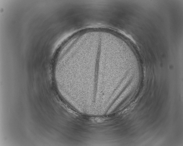 X0000067911311200605111932