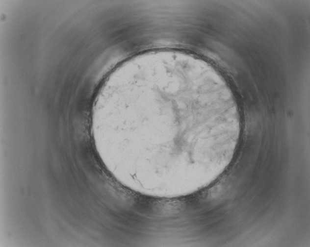 X0000067911314200605111932