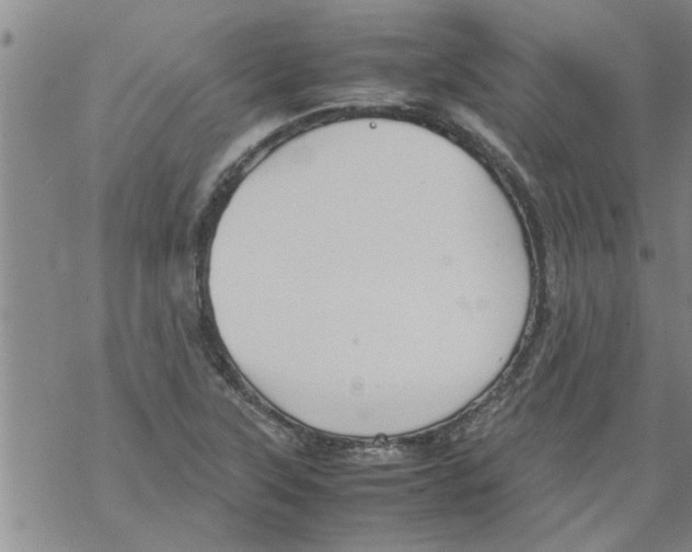 X0000067911315200605111933