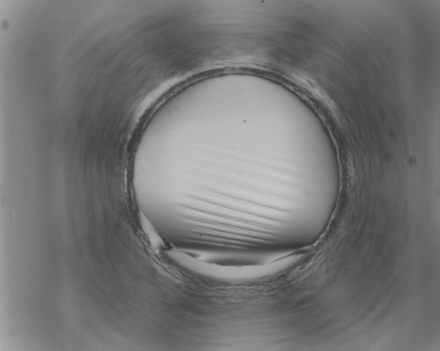 X0000067911316200605111933