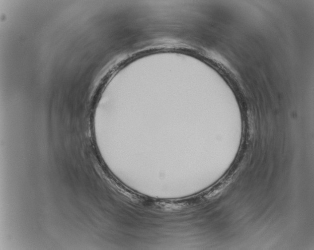 X0000067911318200605111933