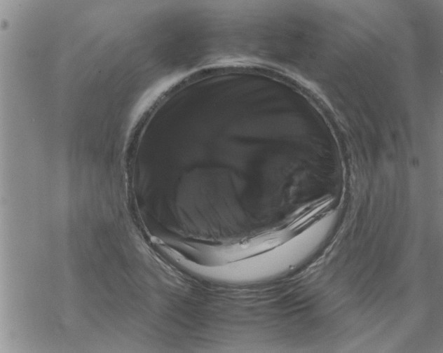 X0000067911319200605111933