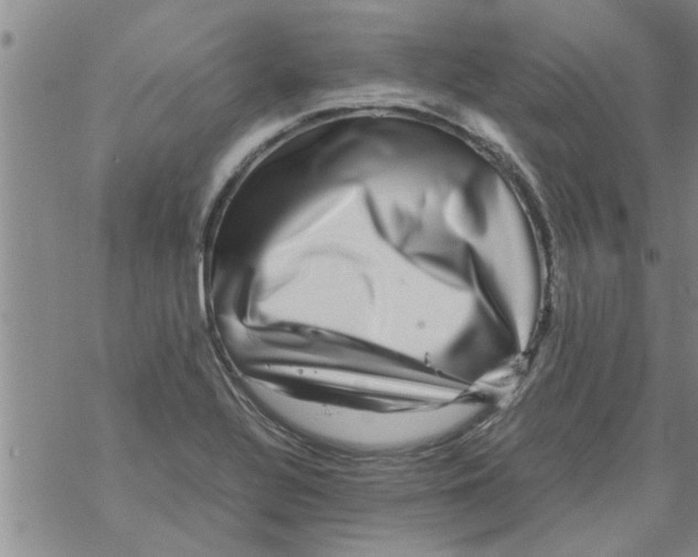 X0000067911320200605111933