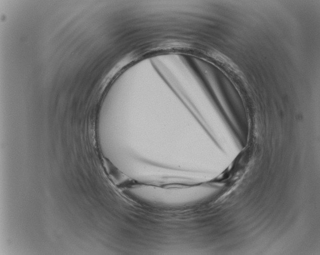 X0000067911321200605111933