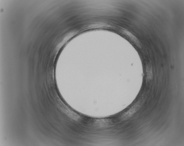 X0000067911322200605111933