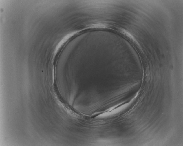 X0000067911323200605111933