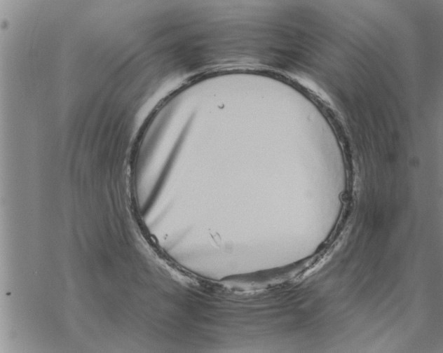 X0000067911325200605111933