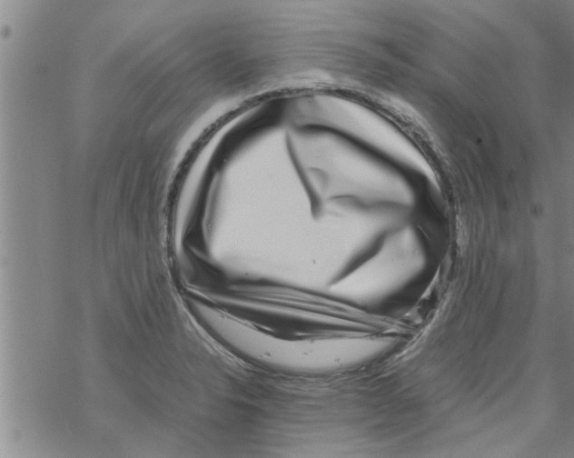 X0000067911326200605111933