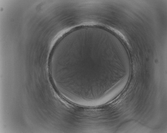 X0000067911327200605111933