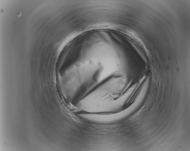 X0000067911328200605111933