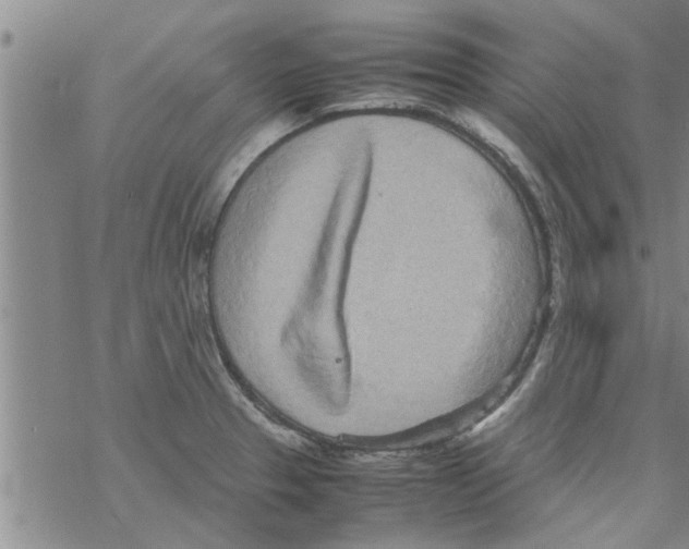 X0000067911329200605111933