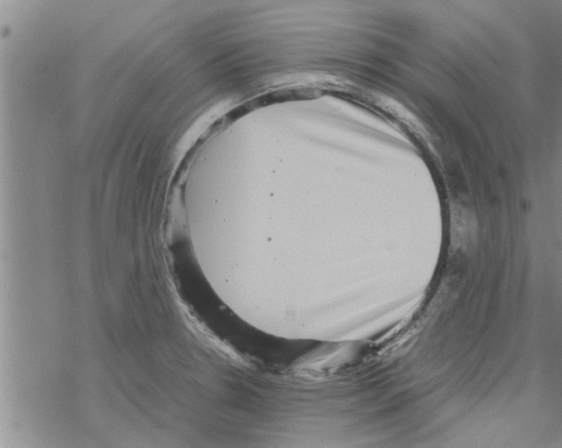 X0000067911330200605111933