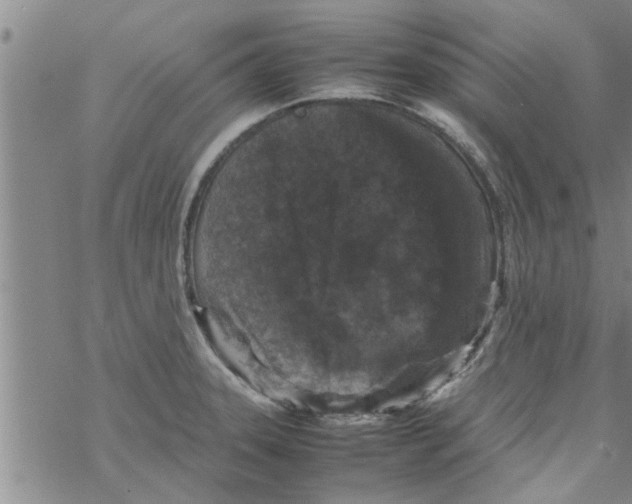 X0000067911331200605111933