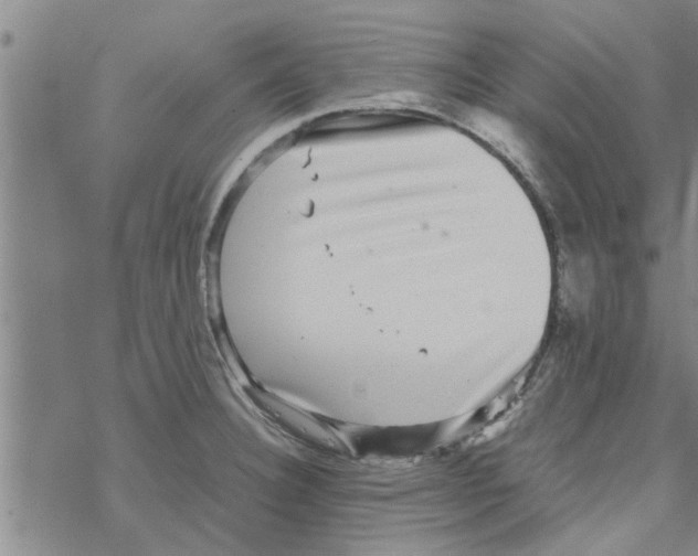 X0000067911332200605111933