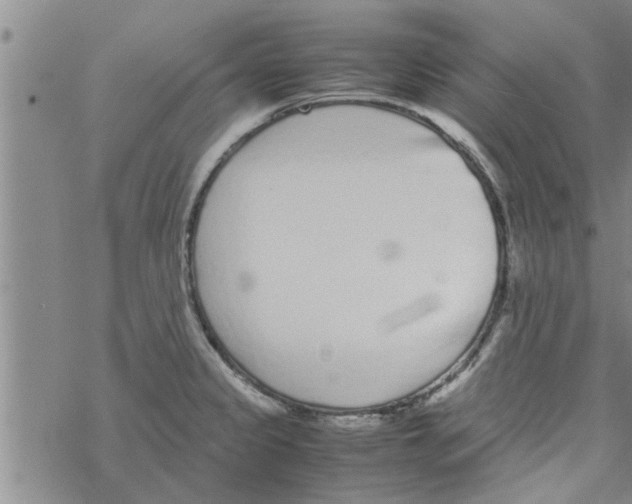 X0000067911333200605111933