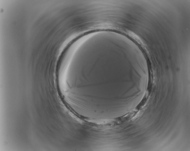 X0000067911334200605111933