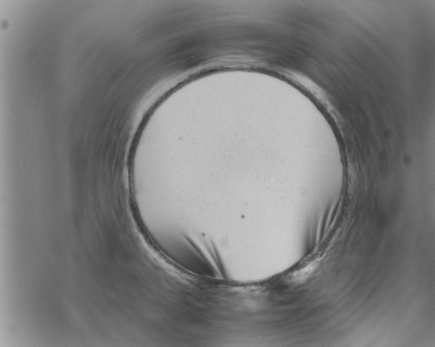 X0000067911335200605111933