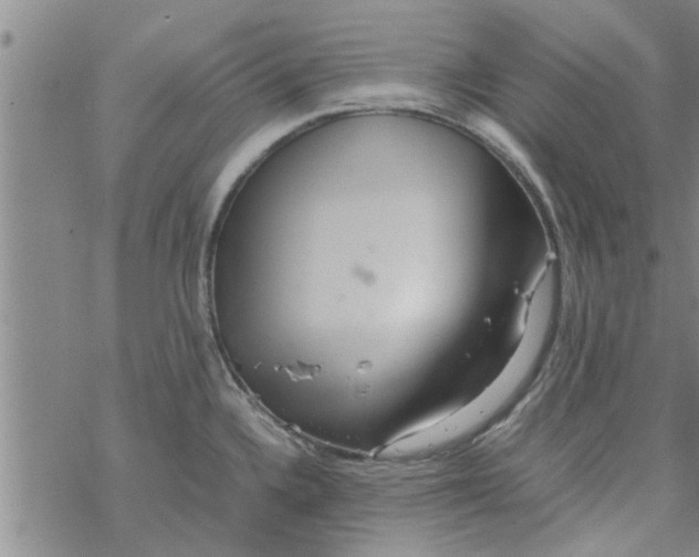 X0000067911336200605111933