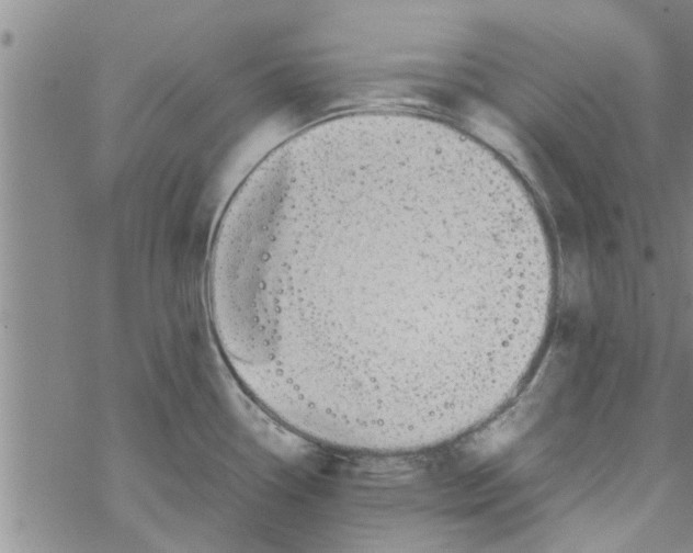 X0000067911338200605111933