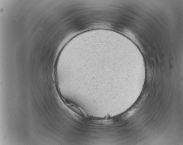 X0000067911339200605111933