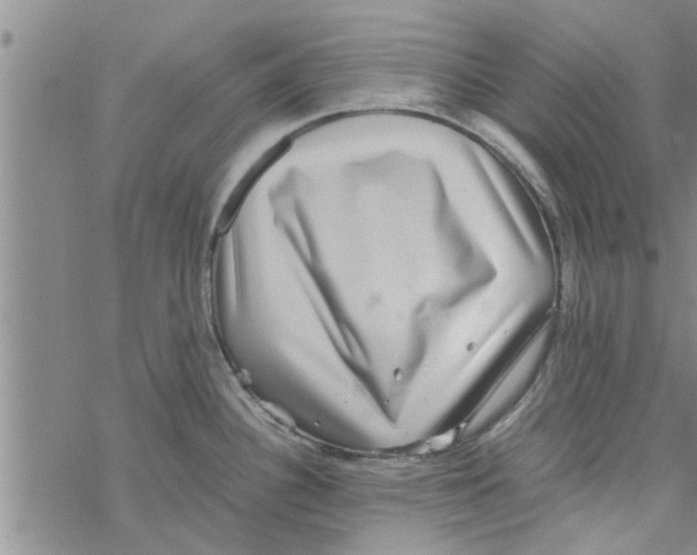 X0000067911340200605111933