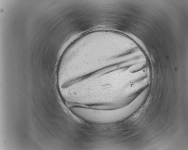 X0000067911341200605111933