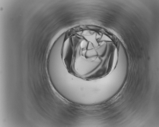 X0000067911342200605111933