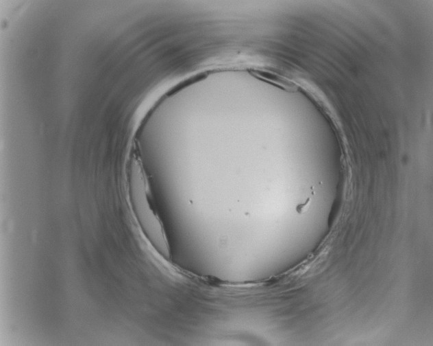 X0000067911344200605111933