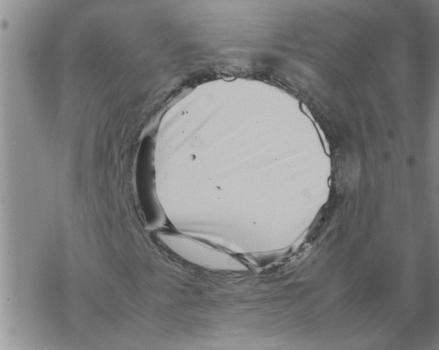 X0000067911345200605111932