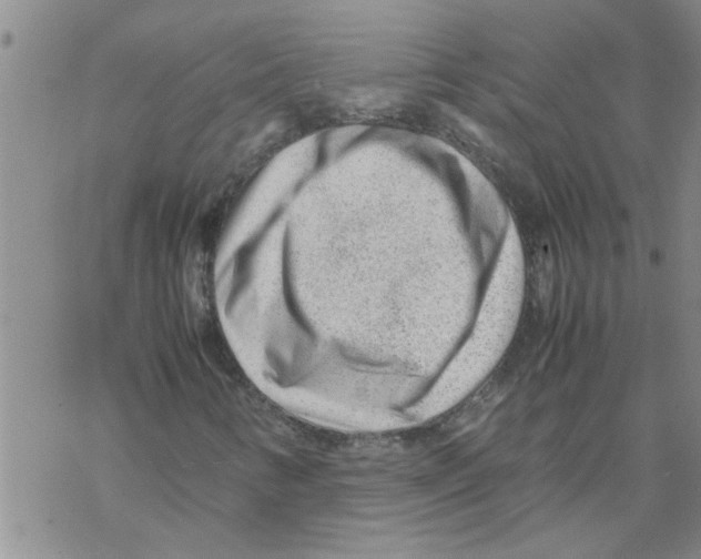 X0000067911346200605111932