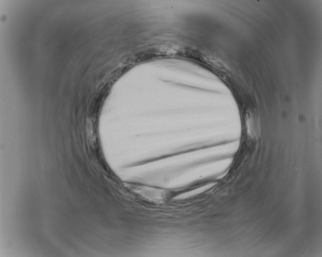 X0000067911347200605111932