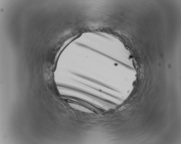 X0000067911349200605111932