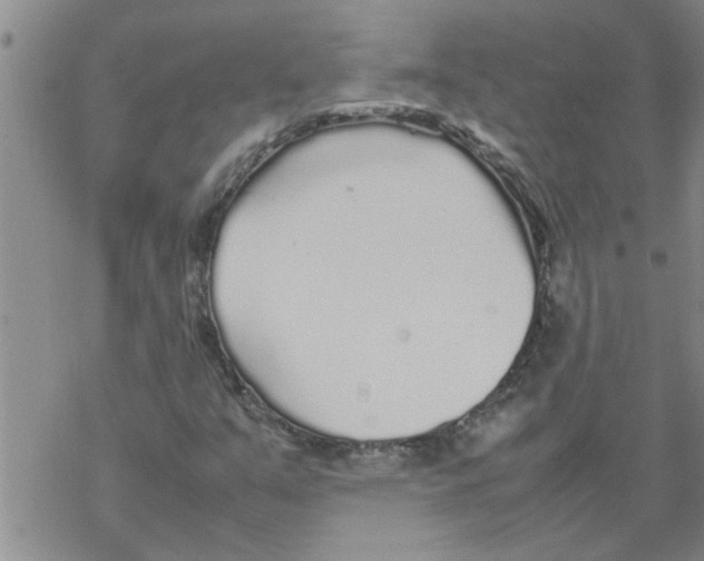 X0000067911351200605111932