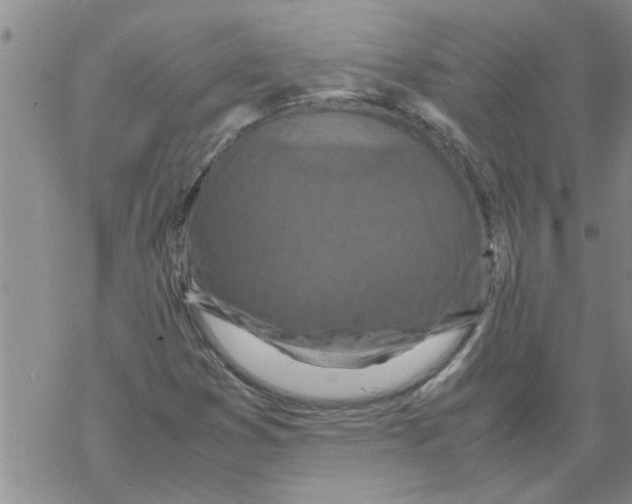 X0000067911353200605111932