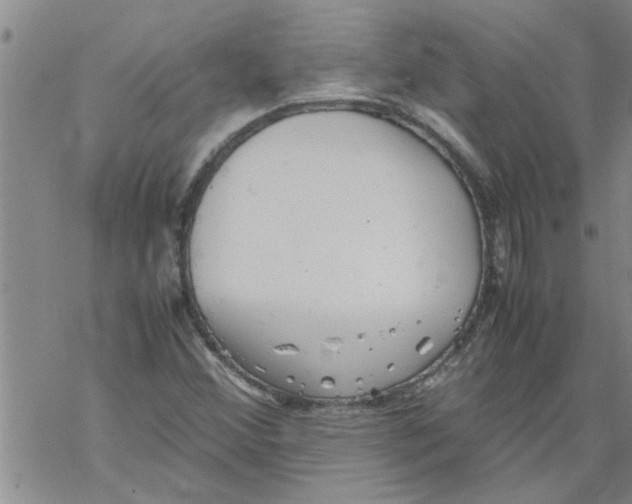 X0000067911356200605111932