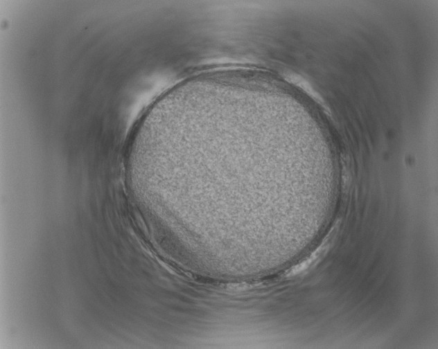 X0000067911357200605111932