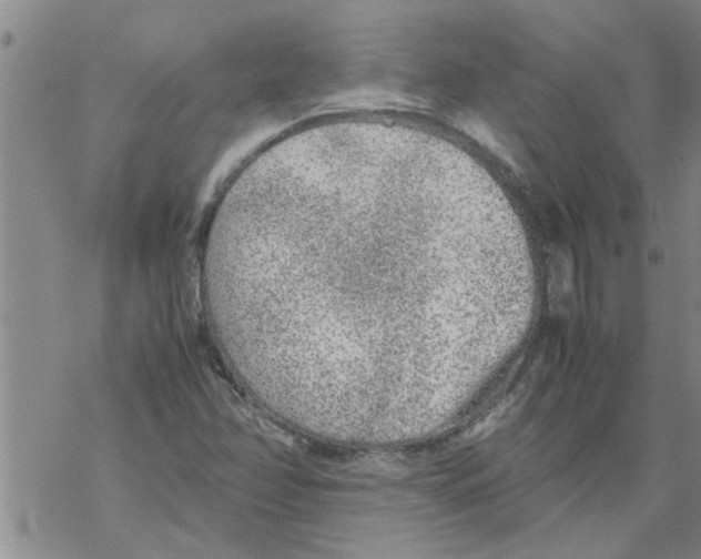 X0000067911358200605111932