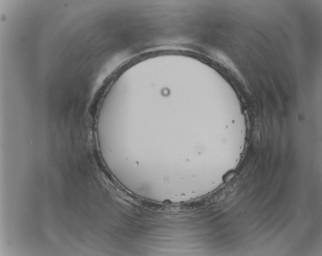 X0000067911360200605111932