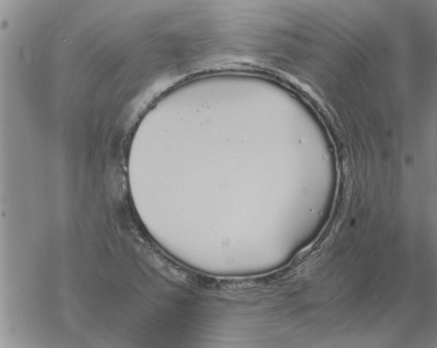 X0000067911363200605111932