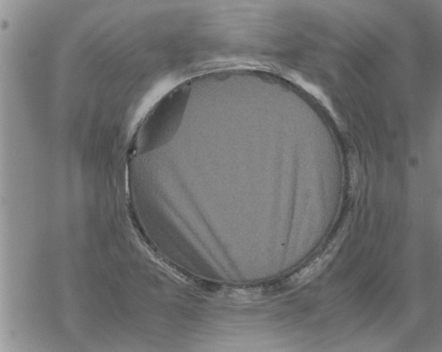 X0000067911365200605111932